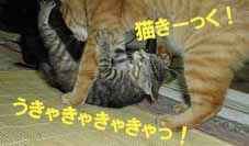 �s�[�g�ƗV��ł��炤�~�~