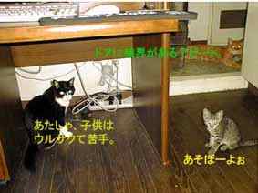 �R�C�������̐}�B