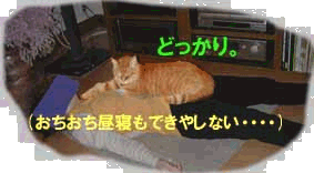 �������̏�ɏ��Ȃ����i�ǂ�����[�P�j