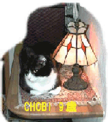 �D��ɒg�H���Ƃ�`���r