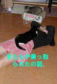 �������̏�ɂ̂�ȁI�i�Q�j