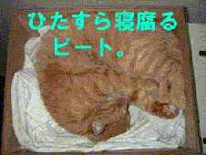 �s�[�g�F�A�����i�C�g�̐}�B