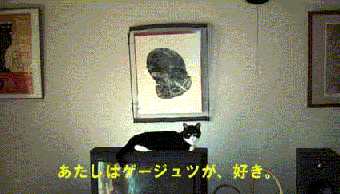 �D��ɃQ�[�W���c�ӏ܂̃`���r