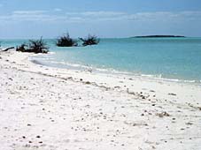 nokahui