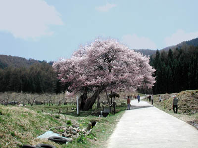 ̃GhqKUN