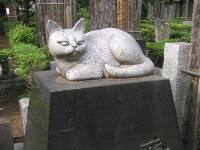 慈恵院