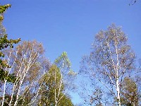 乗鞍高原の秋